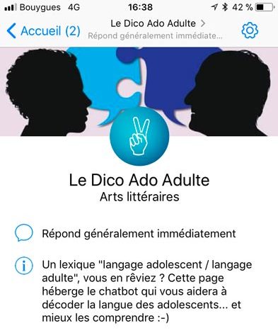 chatbot-dico-ado-adulte