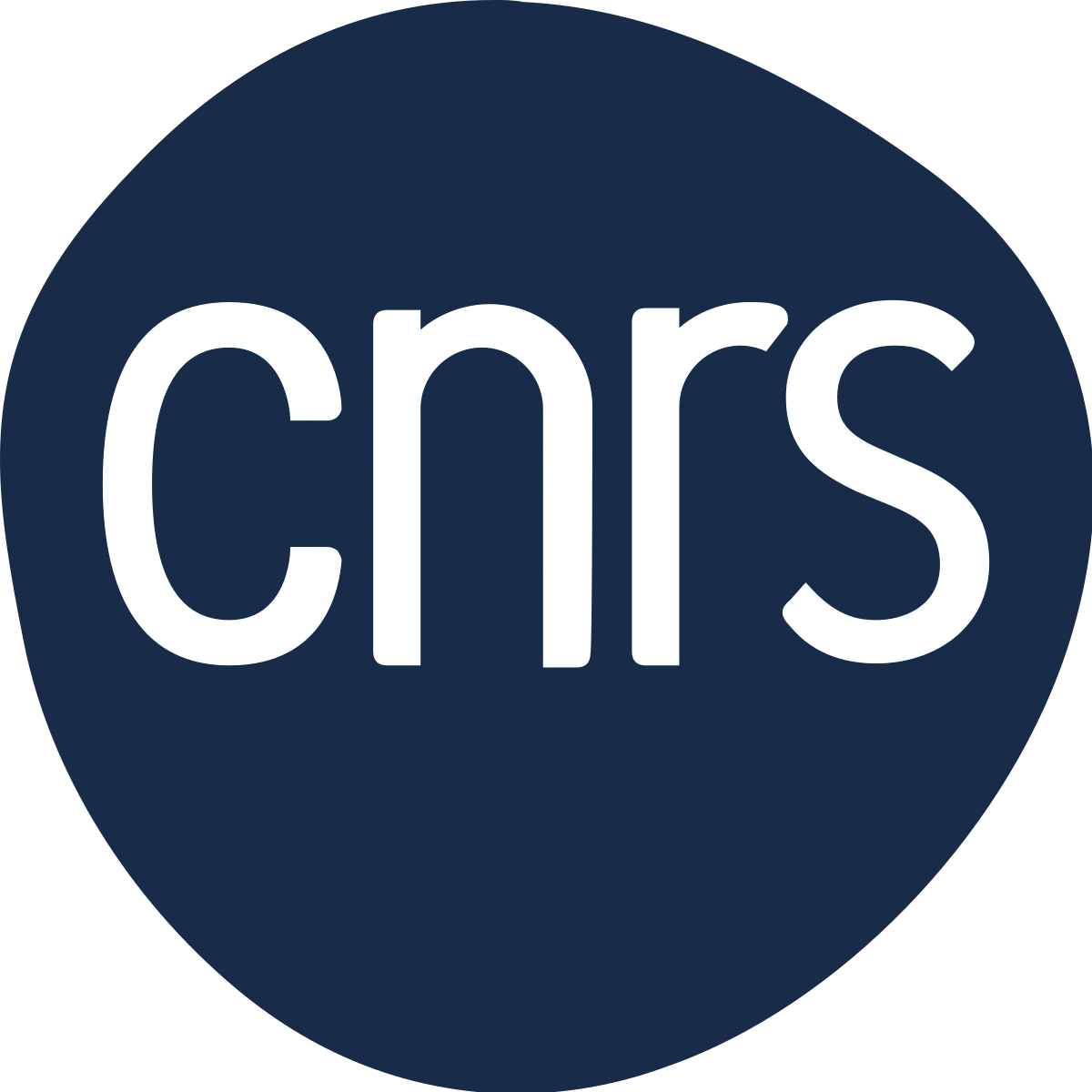 Logo_CNRS Avril 2024